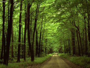 Allegheny National Forest Pennsylvania screenshot