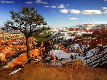 Aloneonthe Rim Bryce Canyon National Park Utah screenshot