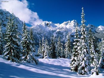 Alpine Lakes Wilderness, Washington screenshot