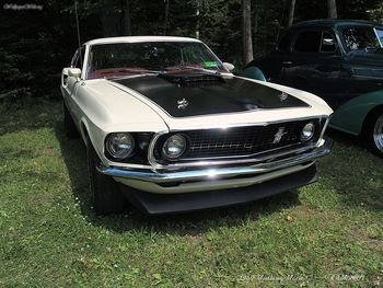 Am Ford Mustang Mach screenshot