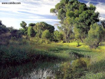 America Arizona Trail screenshot