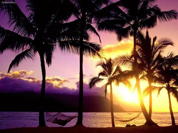 An Afternoon In Paradise, Kauai, Hawaii screenshot