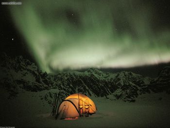 An Emerald Evening Denali National Park Alaska screenshot