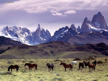 Andes Mountains Patagonia Argentina screenshot