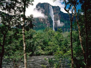 Angel Falls, Orinoco Basin, Canaima National Park, Venezuela screenshot