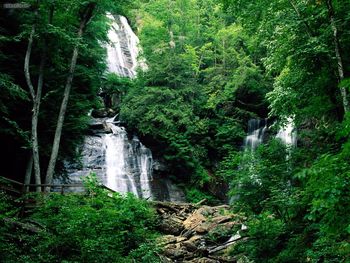 Anna Ruby Falls Chattahoochee National Forest Georgia screenshot