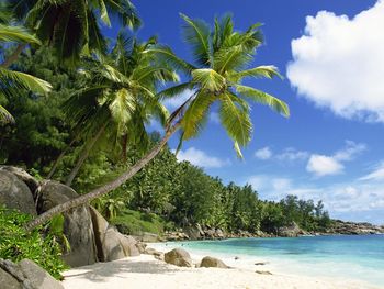 Anse Intedance, Mahe, Seychelles screenshot