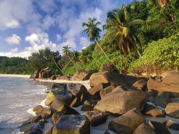 Anse Takamaka Beach, Mahe Island, Seychelles screenshot