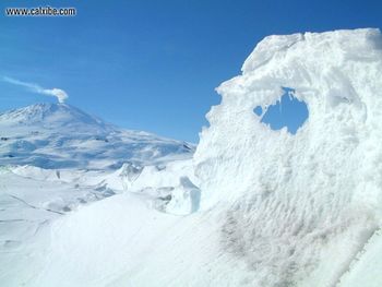 Antarctica Iiice Forms screenshot