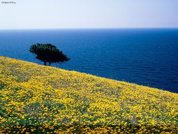 Antiparos, Aegean Sea, Greece screenshot