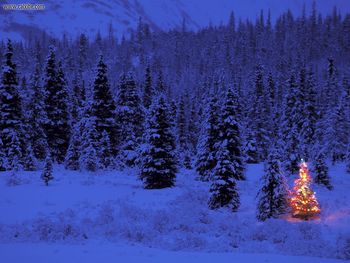 Apline Glow, Summit Lake, Alaska screenshot