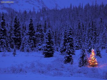 Apline Glow, Summit Lake, Alaska screenshot