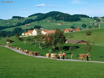 Appenzell, Switzerland screenshot