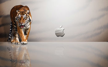 Apple MAC Tiger screenshot