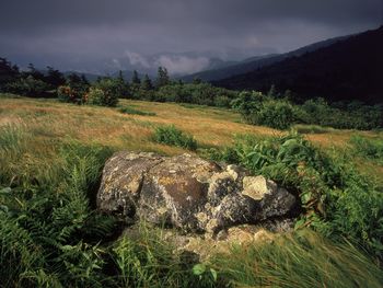 Approaching Storm, Carver