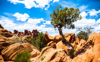 Arches National Park screenshot