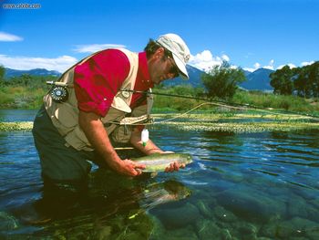 Armstrong Spring Creek, Montana screenshot