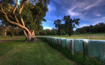 At The Park screenshot