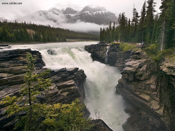 Athabasca Falls Jasper National Park Alberta Canada screenshot