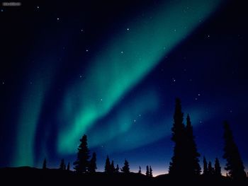 Aurora Borealis Alaska screenshot