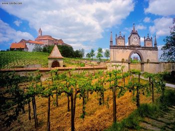 Austrian Vineyard screenshot