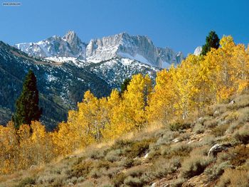 Autumn At Matterhorn Peak Sawtooth Range California screenshot