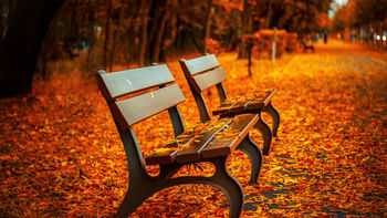 Autumn Bench screenshot