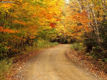 Autumn Color, Baxter State Park, Maine screenshot