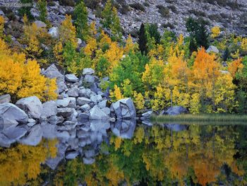 Autumn Color, Eastern Sierra, California screenshot