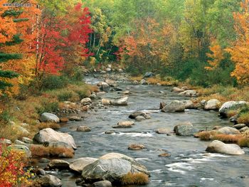 Autumn Colors, White Mountains, New Hampshire screenshot