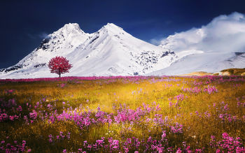 Autumn Fields Alps Mountains screenshot