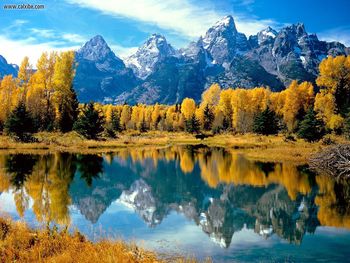 Autumn Grandure, Grand Teton National Park, Wyoming screenshot