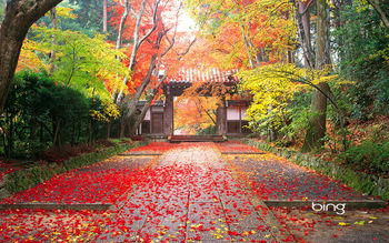 Autumn in Japan screenshot