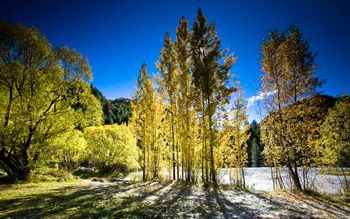 Autumn New Zealand screenshot