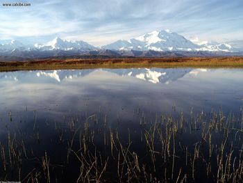 Autumn Reflection Pond Alaska screenshot
