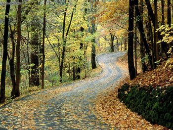 Autumn Road, Percy Warner Park, Nashville, Tennessee screenshot