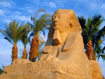 Avenue Of Sphinxes, Luxor, Egypt screenshot