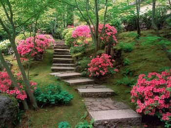Azaleas Japanese Garden screenshot