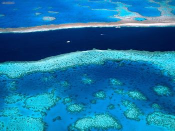 Azure Waters The Great Barrier Reef Australia screenshot