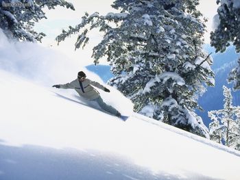 Backcountry Boarding, Jackson Hole, Wyoming screenshot