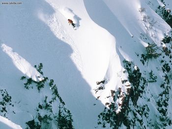 Backcountry Ride, Snowbasin Utah screenshot
