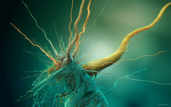 Bacteria screenshot