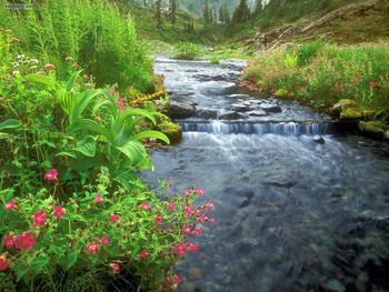 Bagley Creek Mount Baker Wilderness Washington screenshot