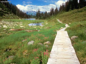 Bagley Lakes Trail, Mount Baker Wilderness, Washington screenshot