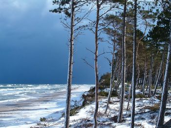 Baltic Sea Poland screenshot
