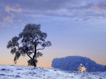 Bavaria In Winter, Germany screenshot