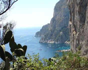 Bay On An Island Of Capri screenshot