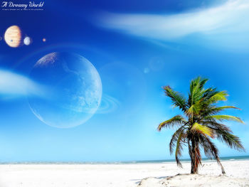 Beach Dreamy World screenshot