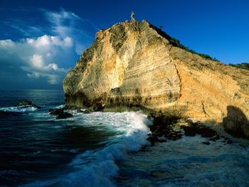 Beach Guadeloupe screenshot