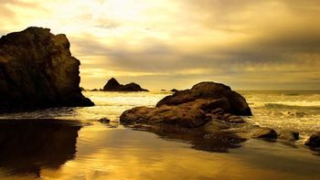 Beach In Sepia screenshot